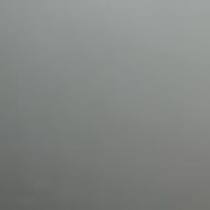 Meet your Posher, Jannie